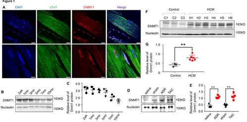 医学研究与试验发展 科技创新驱动健康未来
