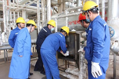 国家重点研发计划煤与重油共加氢及产品加工关键技术通过专家组现场考核