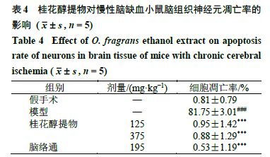 基于网络药理学与动物实验探究桂花醇提物对慢性脑缺血神经损伤的保护作用及机制